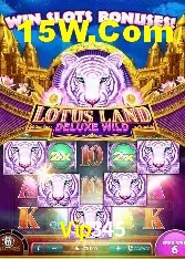 Recursos de Bônus Vip345